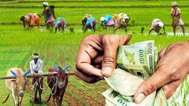Government plans dedicated bank for farmers with Rs. 100,000 per-acre production allowance