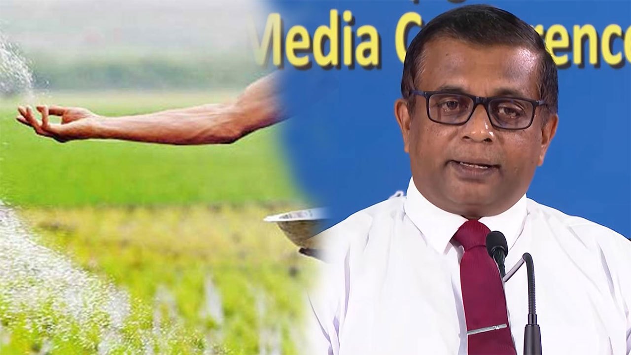 Fertilizer subsidy raised to Rs. 30,000 per hectare; 90% of Yala farmers paid
