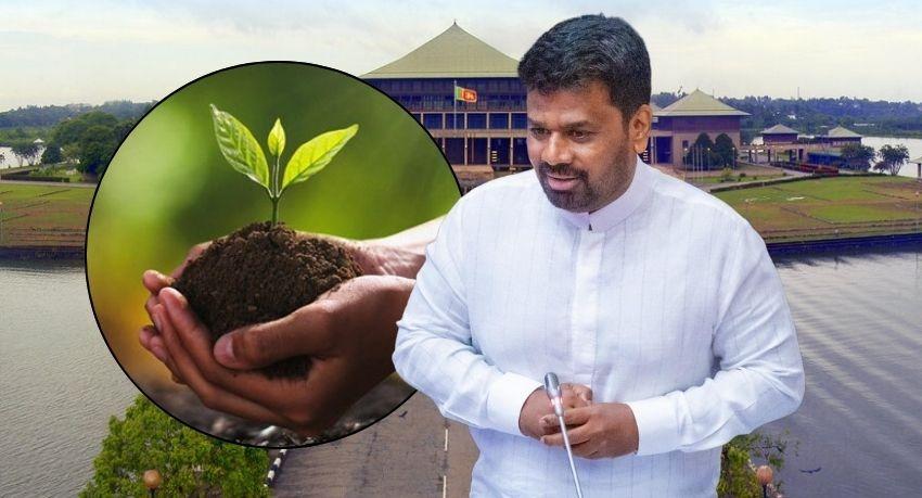 Government Commits Rs. 7.1bn to Shield Farmers from Urea Price Hike