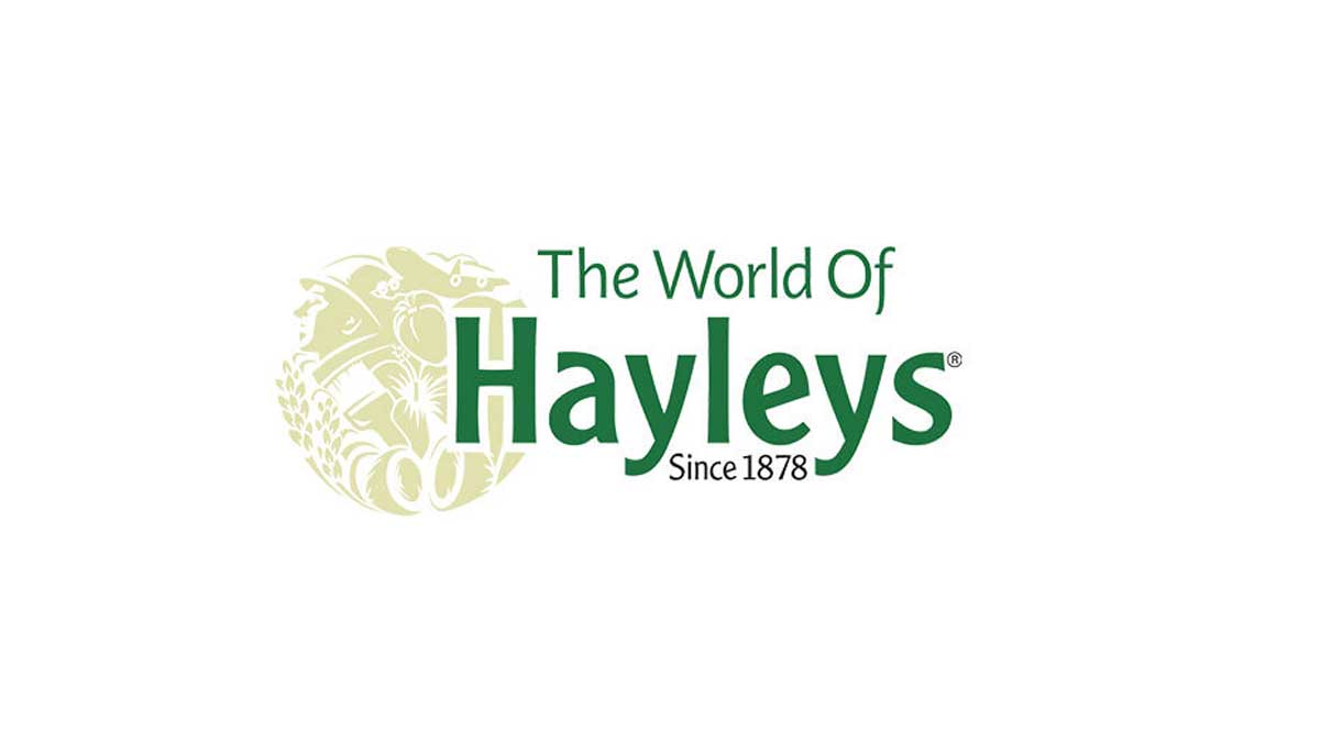 Hayleys to sell Amaya Kudarah Maldives resort to Bohemia Luxury for US$17.25 million