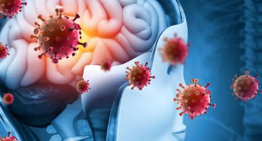 Health Ministry Reports 203 Meningitis Cases Across Several Districts