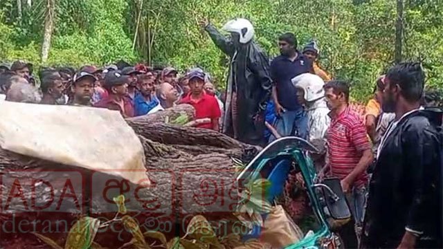 Schoolboy and two women killed as tree collapses on three-wheeler in Nawalapitiya