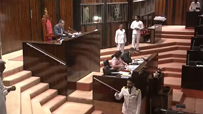 Parliament approves free visa entry for 40 countries in tourism push