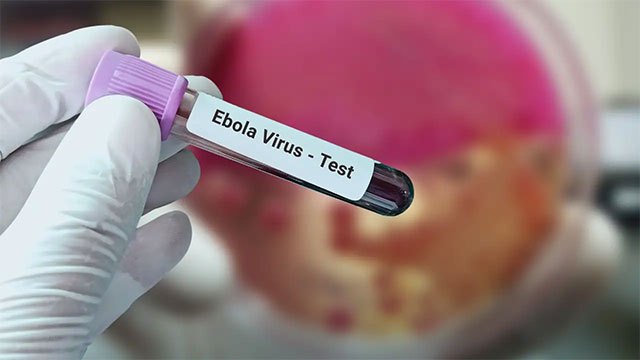 Rajasthan flags first suspected Ebola case, India steps up airport screening