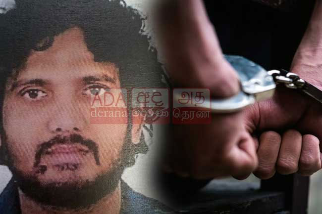 Drug trafficker Shiran Basik arrested in Dubai; linked to Iranian network