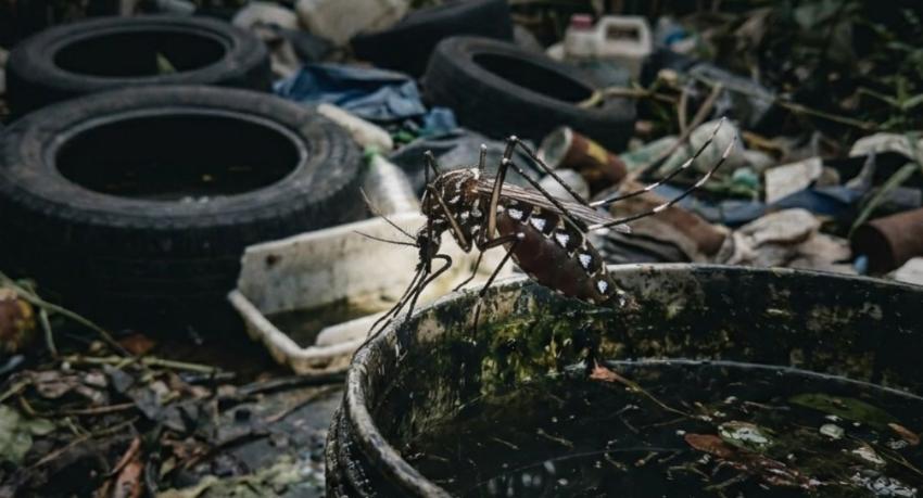 Sri Lanka reviews Qdenga dengue vaccine for possible registration