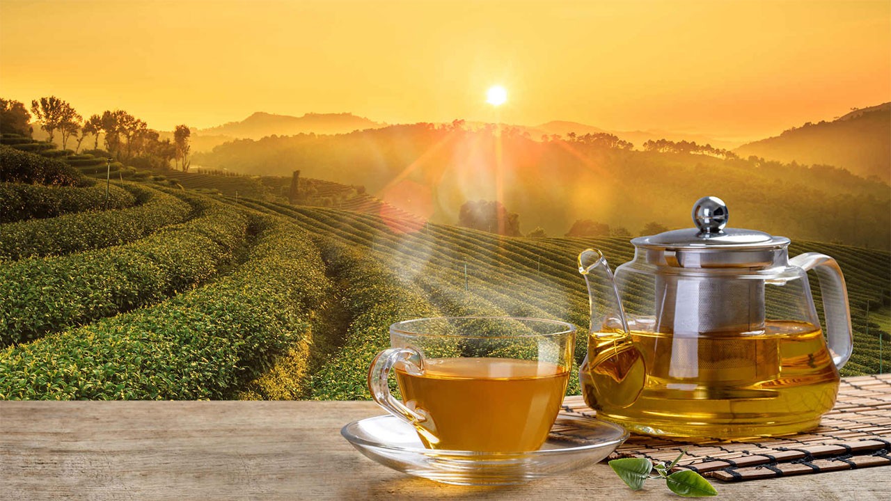 Sri Lanka tea exports to UAE grow 3.3% to 18.32m kg in 2025; Iraq remains top market