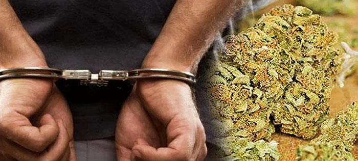 NWSDB security guard arrested with 6.1 kg cannabis at Gorakadeniya plant